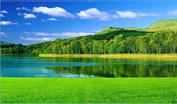 ���ÿ՚�����C(j��)